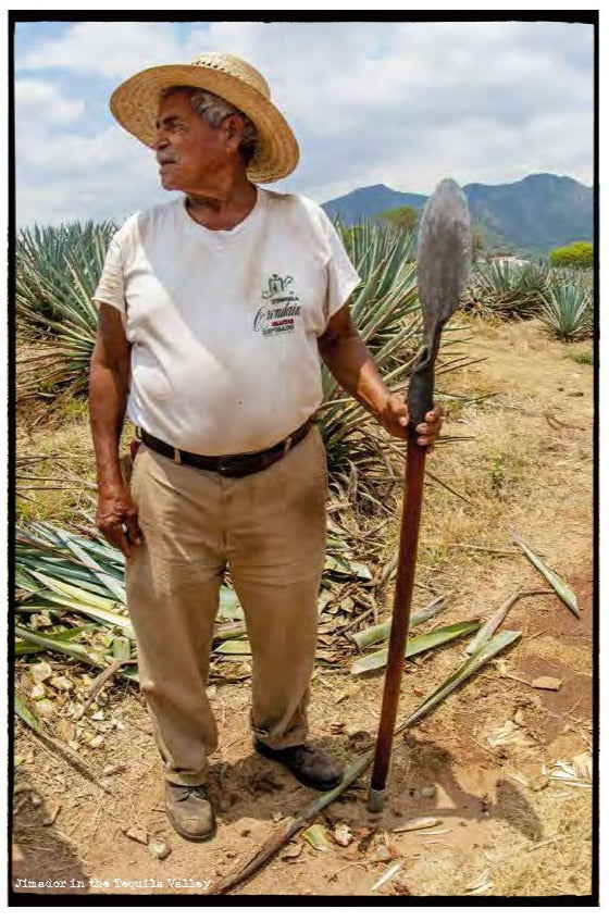 Photo of a tequila jimador